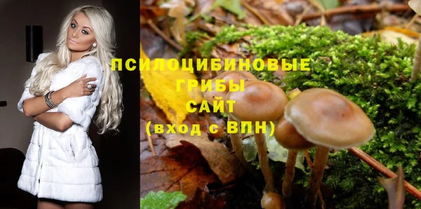 ГАЛЛЮЦИНОГЕННЫЕ ГРИБЫ Краснотурьинск