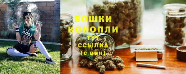 ГАЛЛЮЦИНОГЕННЫЕ ГРИБЫ Краснотурьинск